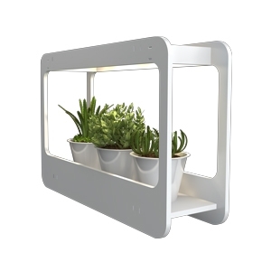 גידול צמחיה OMG-MINI GARDEN 14W Nisko