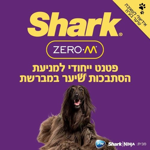 תמונה ללא תיאור
