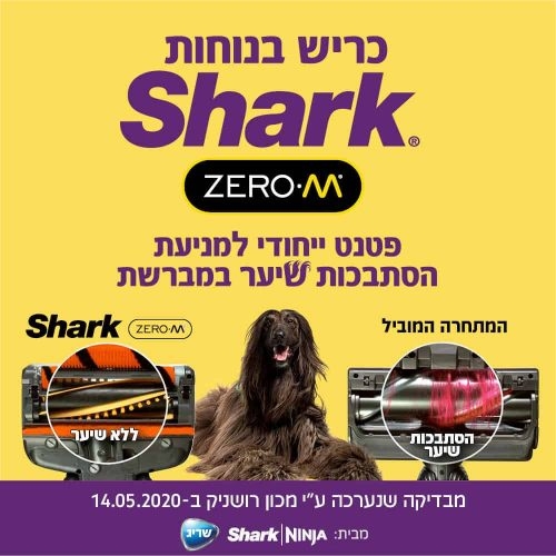 תמונה ללא תיאור