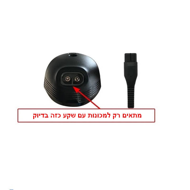 תמונה ללא תיאור