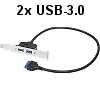 לוחית אחורית למחשב עם 2 חיבורי USB-3.0