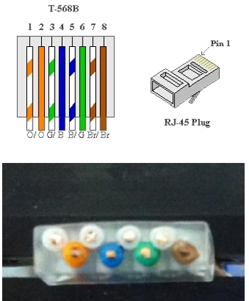 השחלת הגידים במוליך לפי תקן 568B