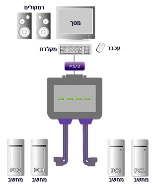 תרשים חיבור קופסת מיתוג (KVM) ל-4 מחשבים