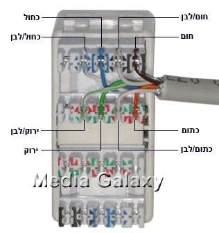 Also undertake alignment מדיה גלקסי | שקע כפול משופע RJ45 מסוכך CAT5e עם קופסא על הטיח / שקעים מפסקים ומתאמים Also undertake alignment מדיה גלקסי | שקע כפול משופע RJ45 מסוכך CAT5e עם קופסא על הטיח / שקעים מפסקים ומתאמים