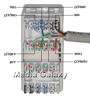 חיבור נכון של כבל רשת בשקע קרונה